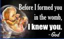 Before I Formed You in the Womb (Fetus) 36x54 Vinyl Poster